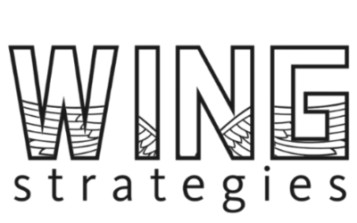 WING Strategies Logo Transparent 2